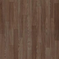 5823 Dark Chestnut Bella 